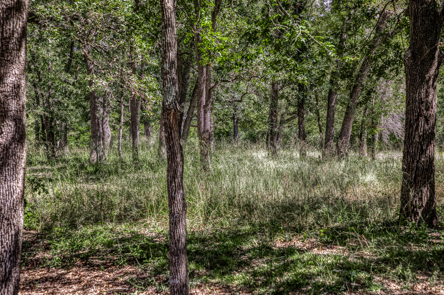 14909 County Road 446