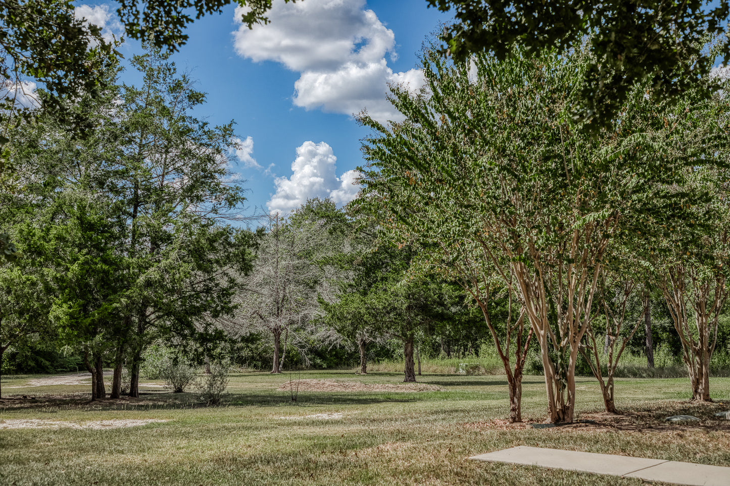 14909 County Road 446