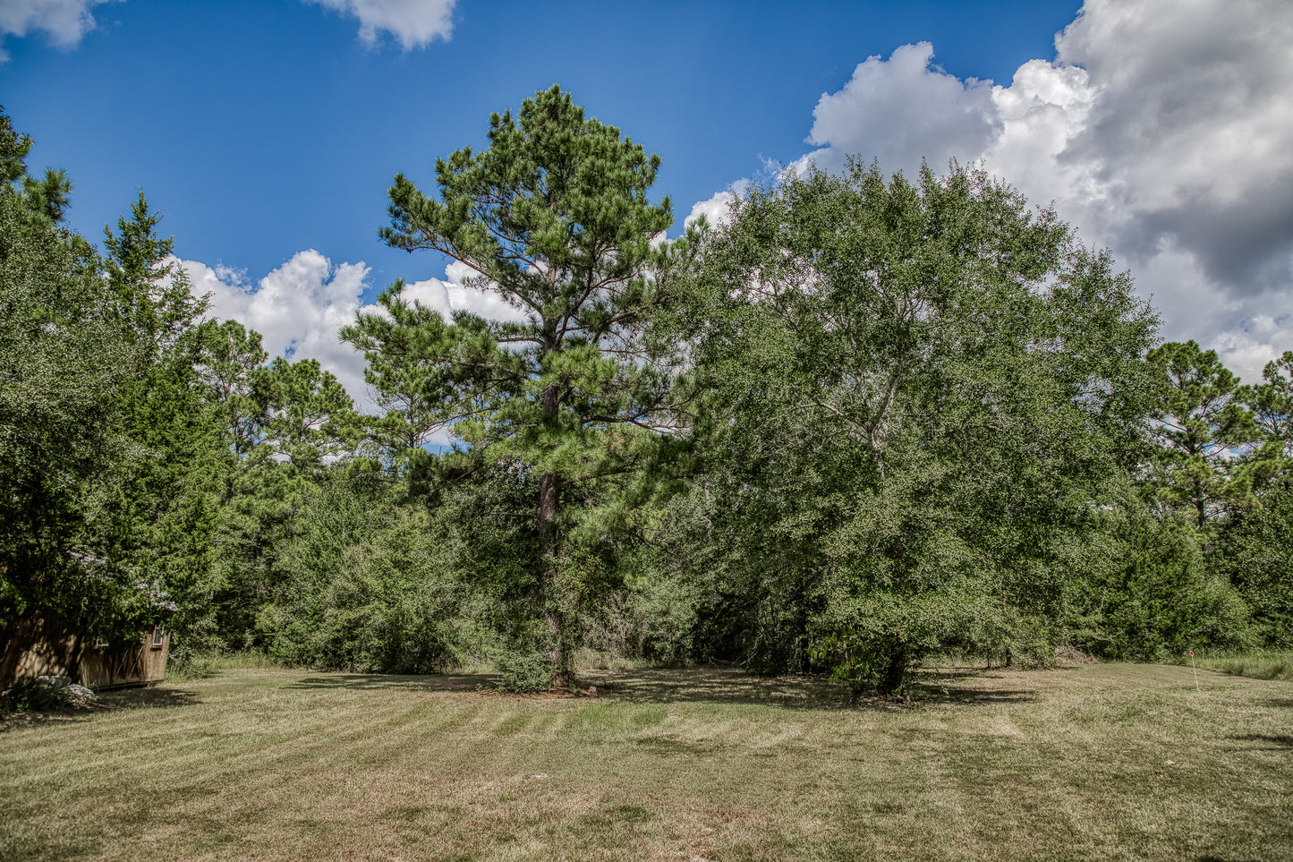 14909 County Road 446