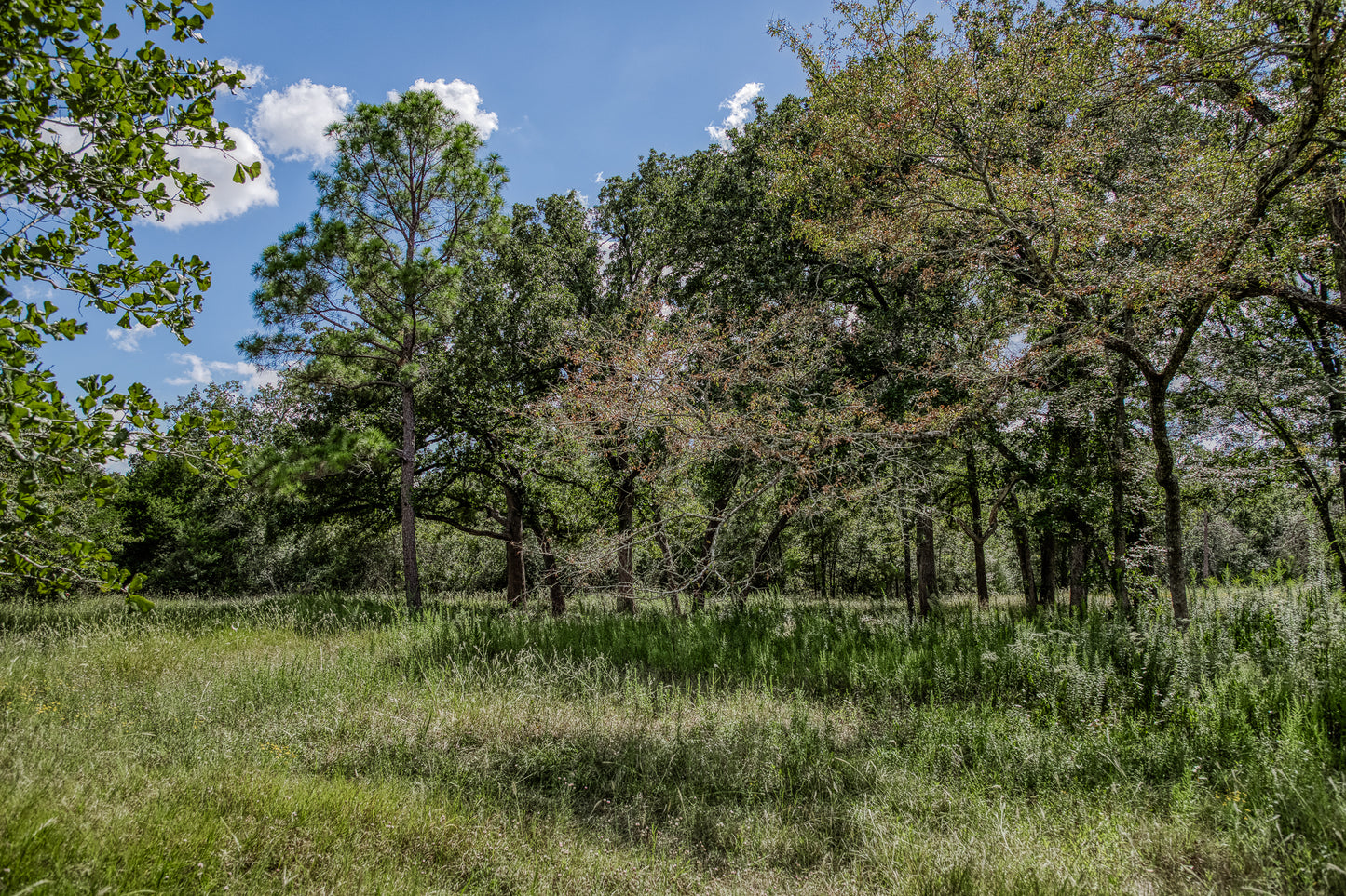 14909 County Road 446