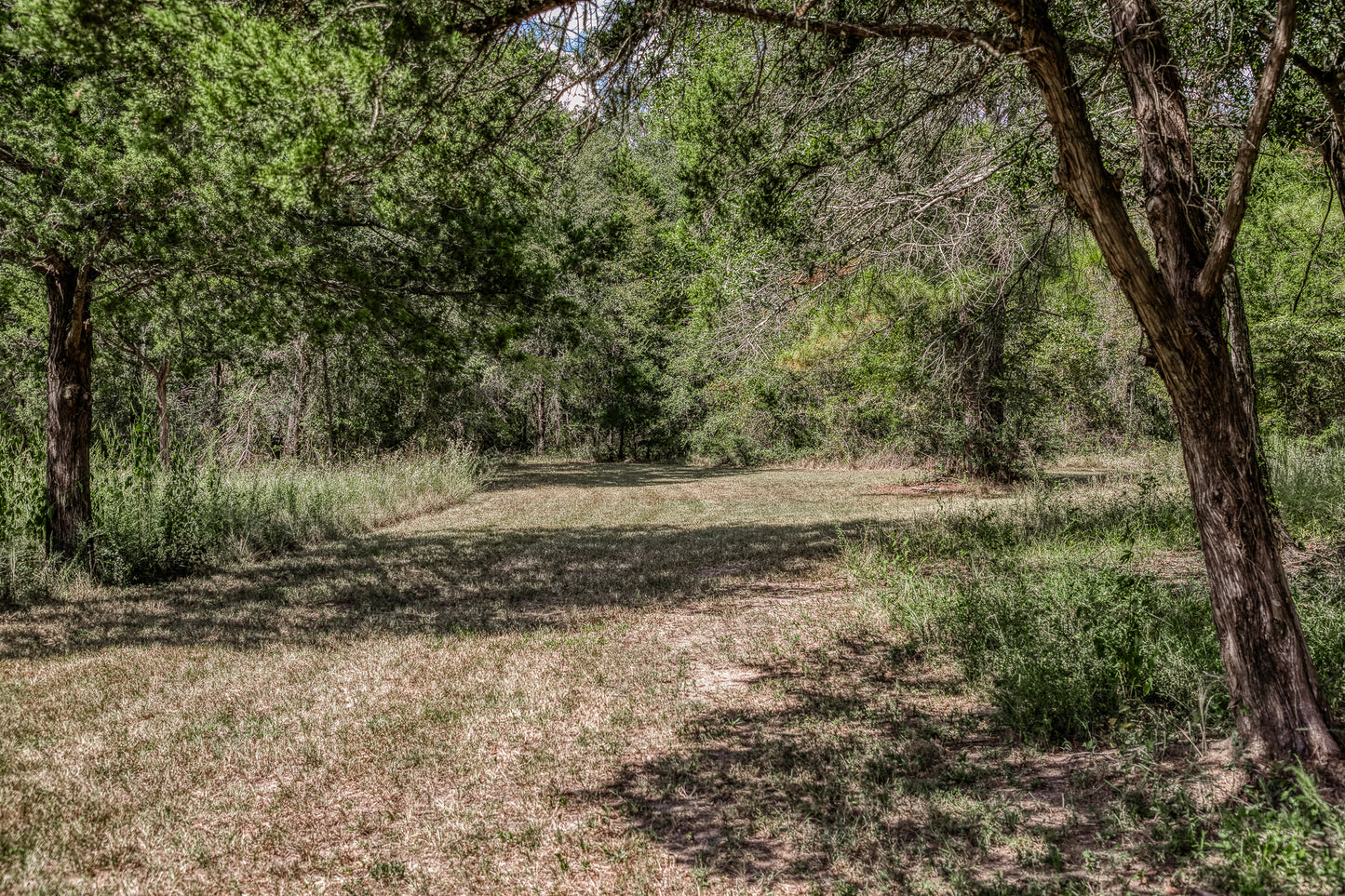 14909 County Road 446