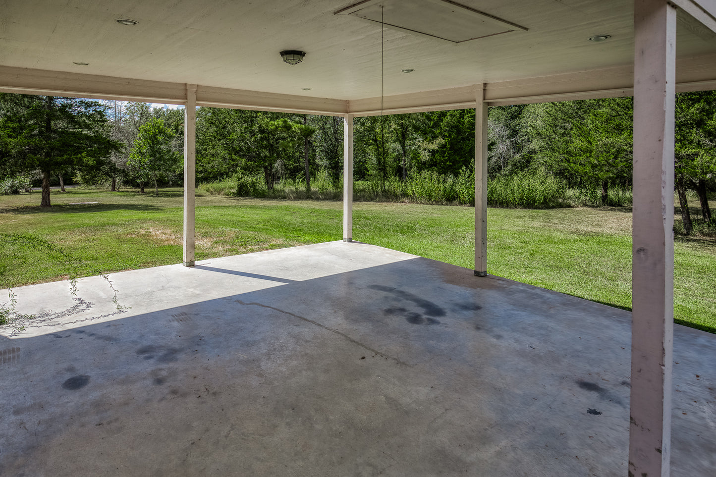 14909 County Road 446