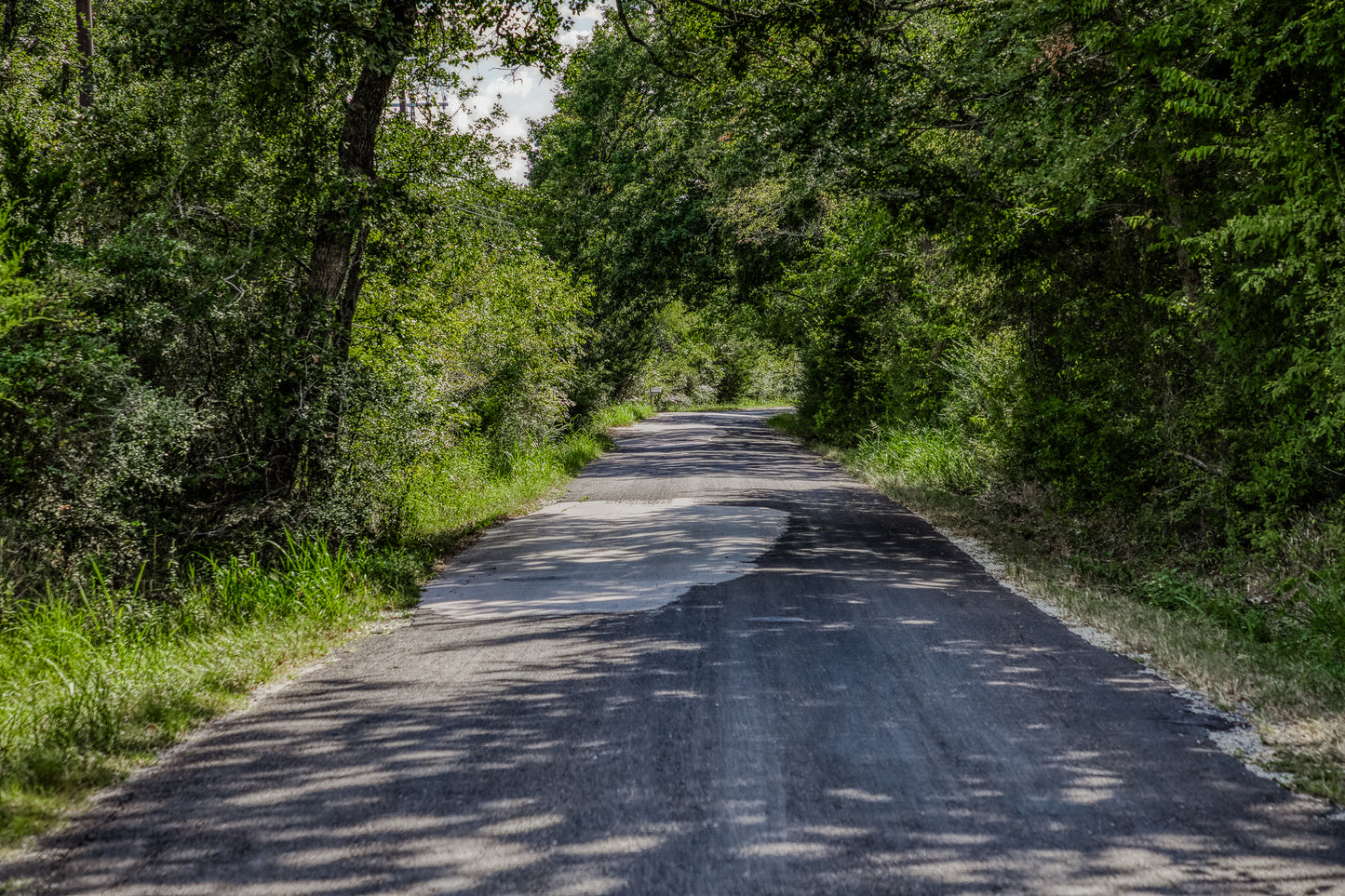 14909 County Road 446