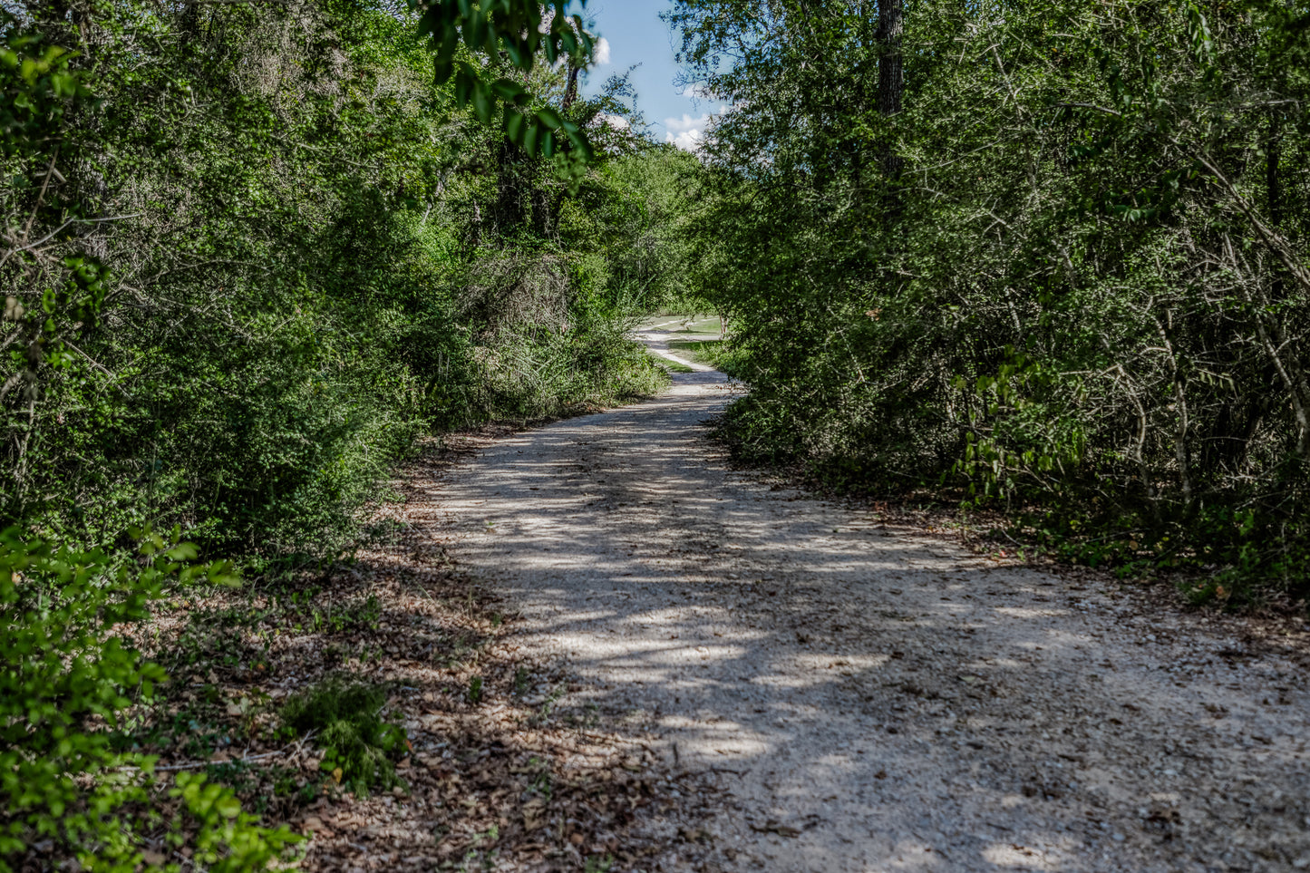 14909 County Road 446