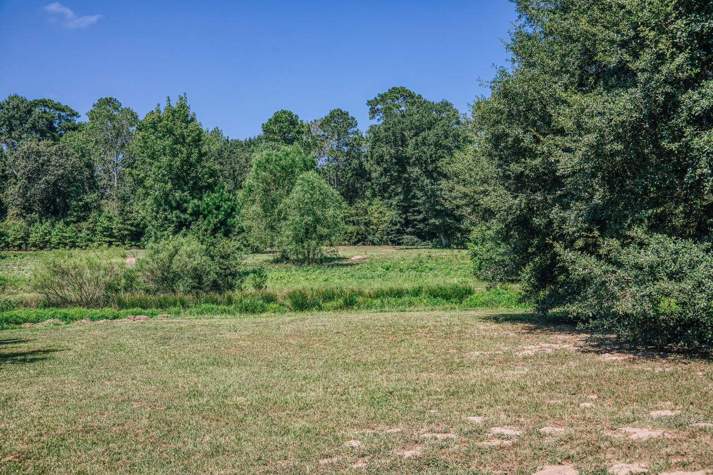 22984 Nichols Sawmill Road