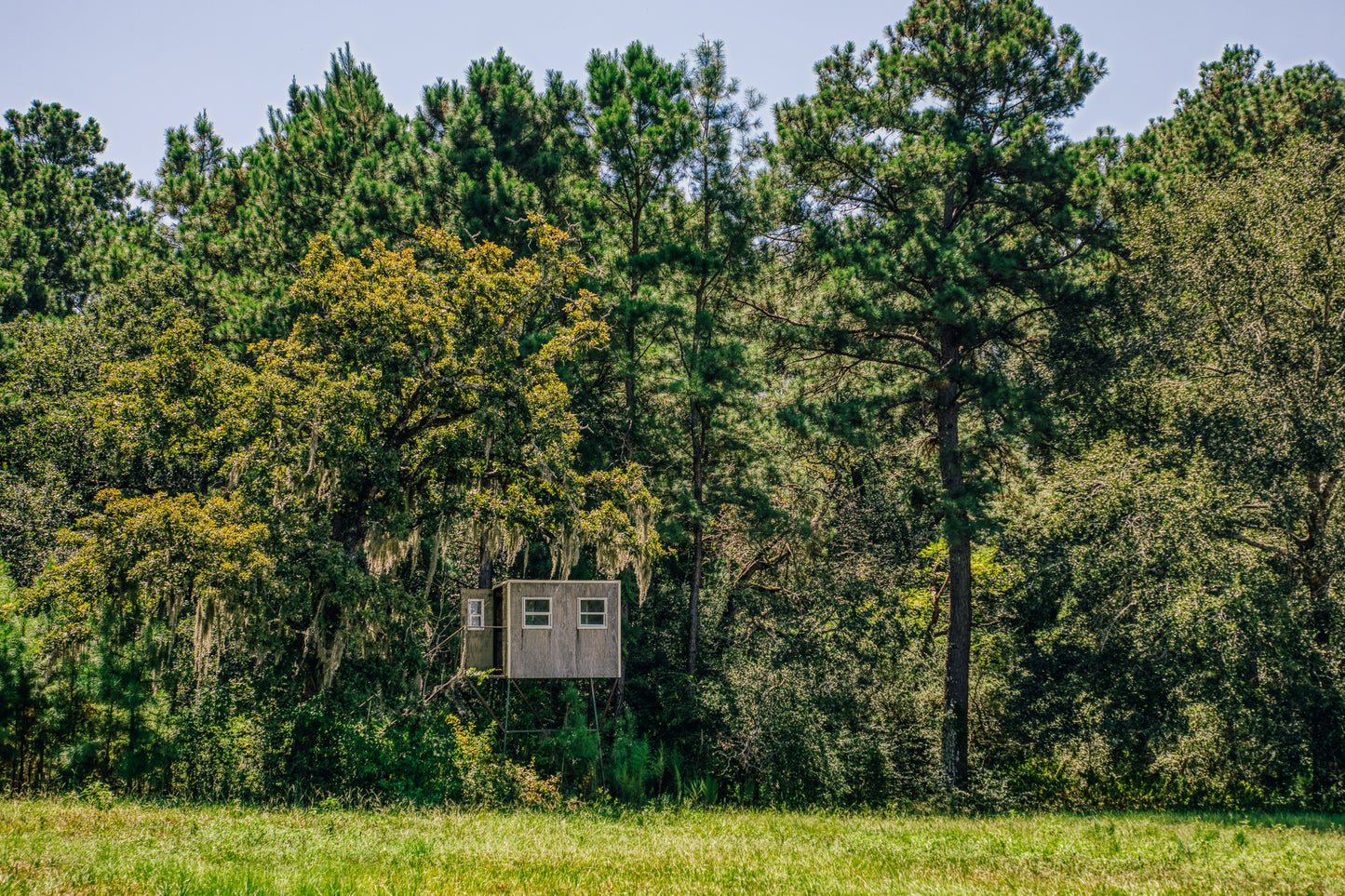 22984 Nichols Sawmill Road