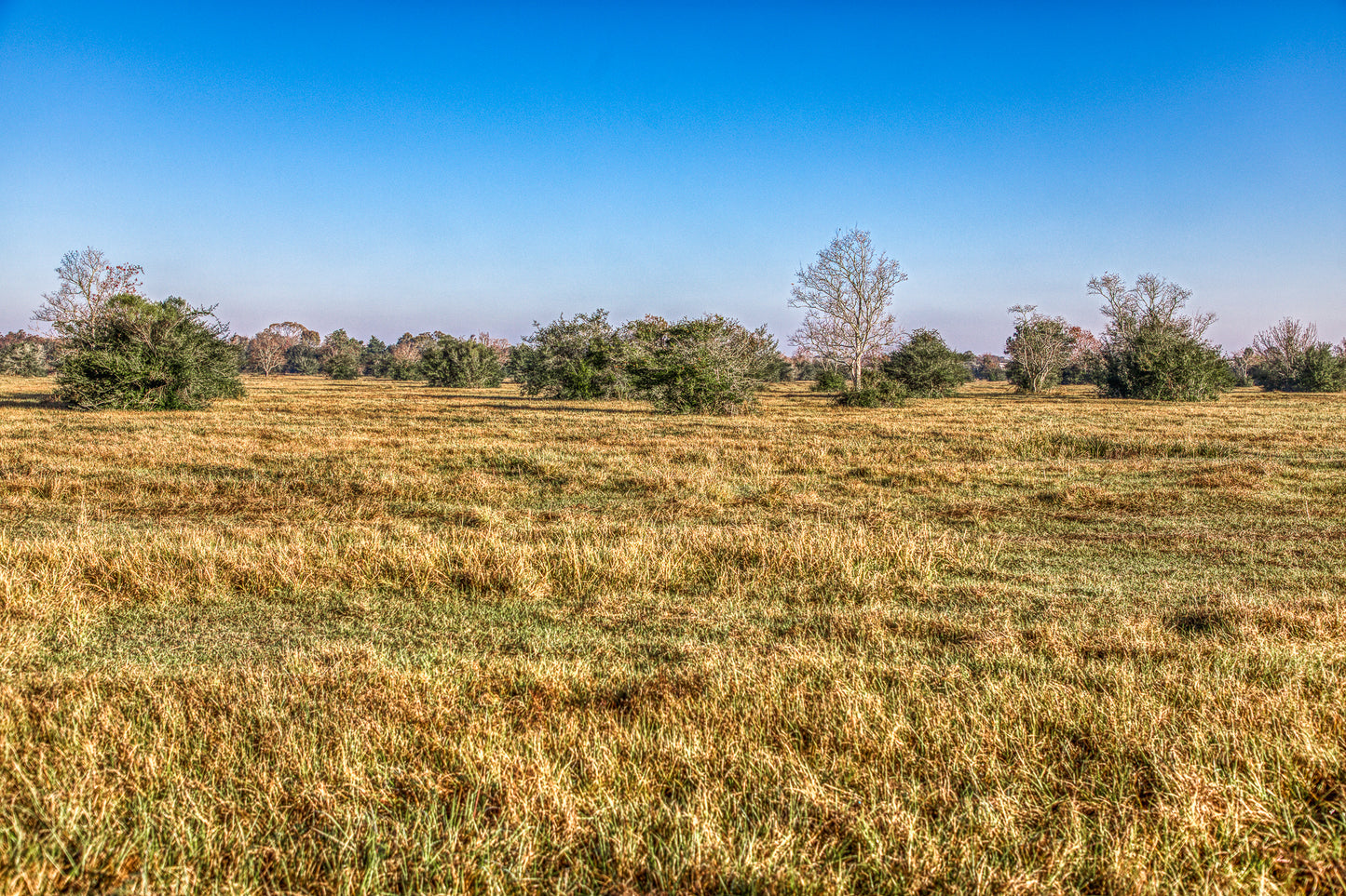 TBD Bauer Hockley Rd