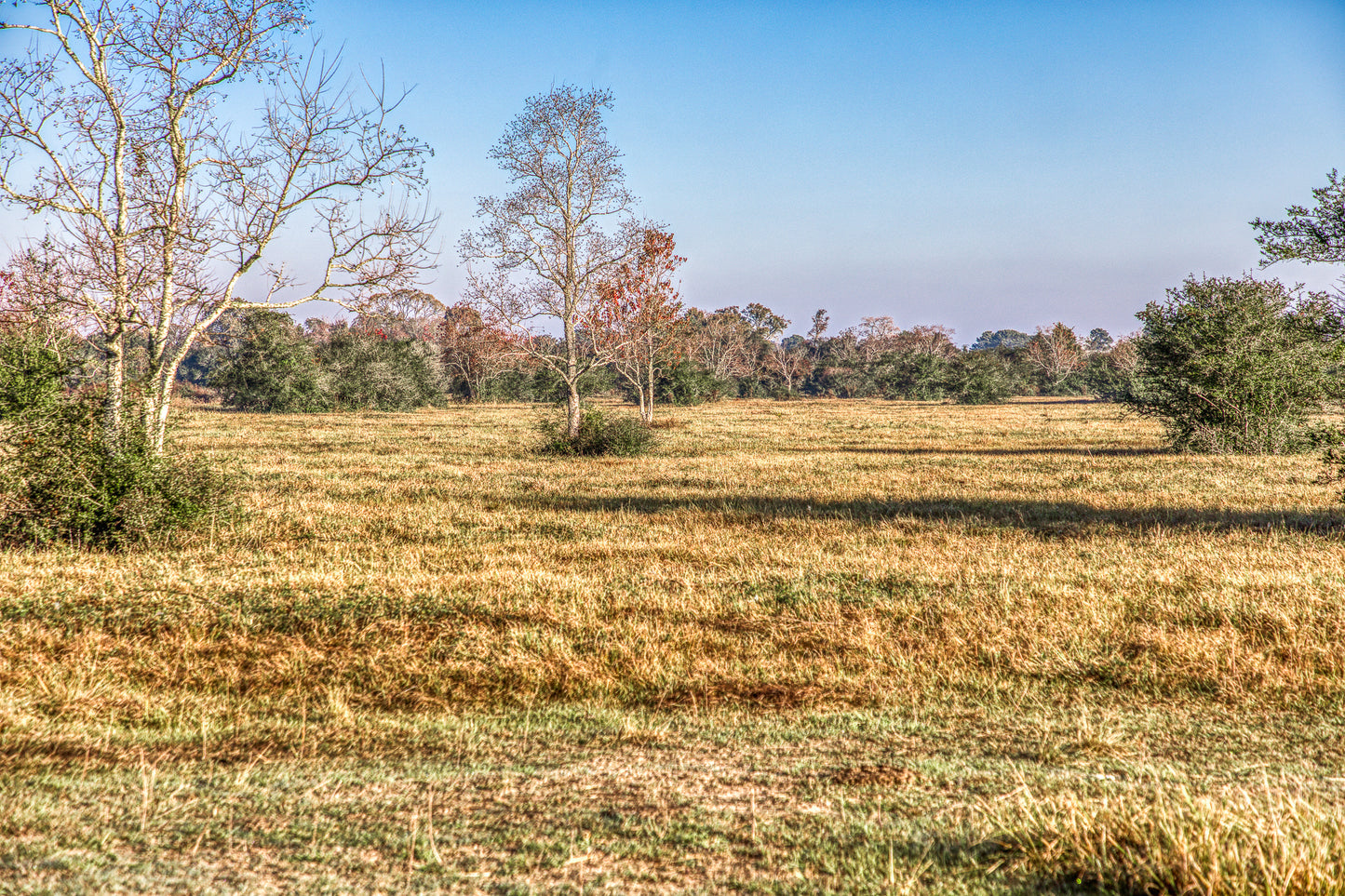 TBD Bauer Hockley Rd