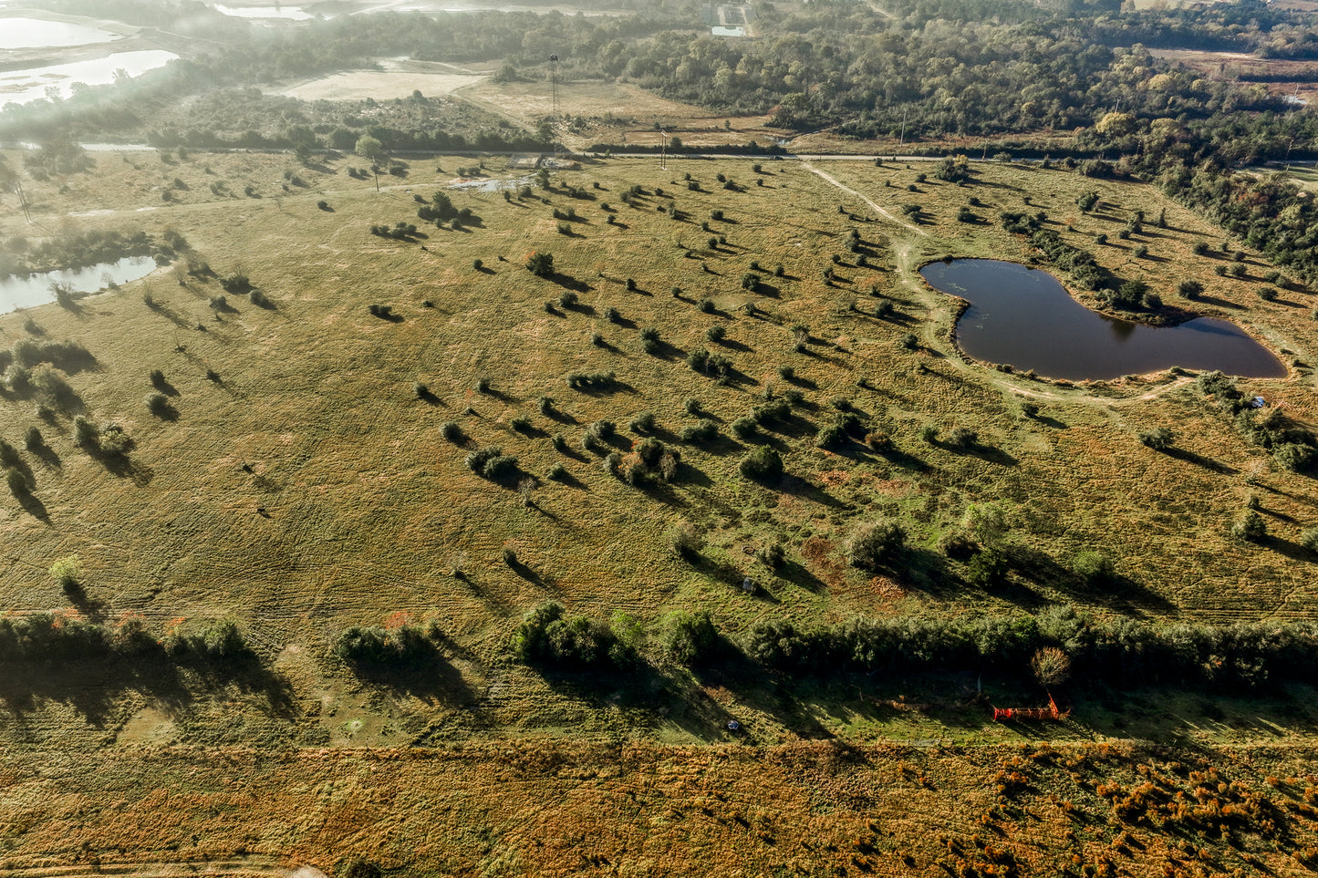 TBD Bauer Hockley Rd