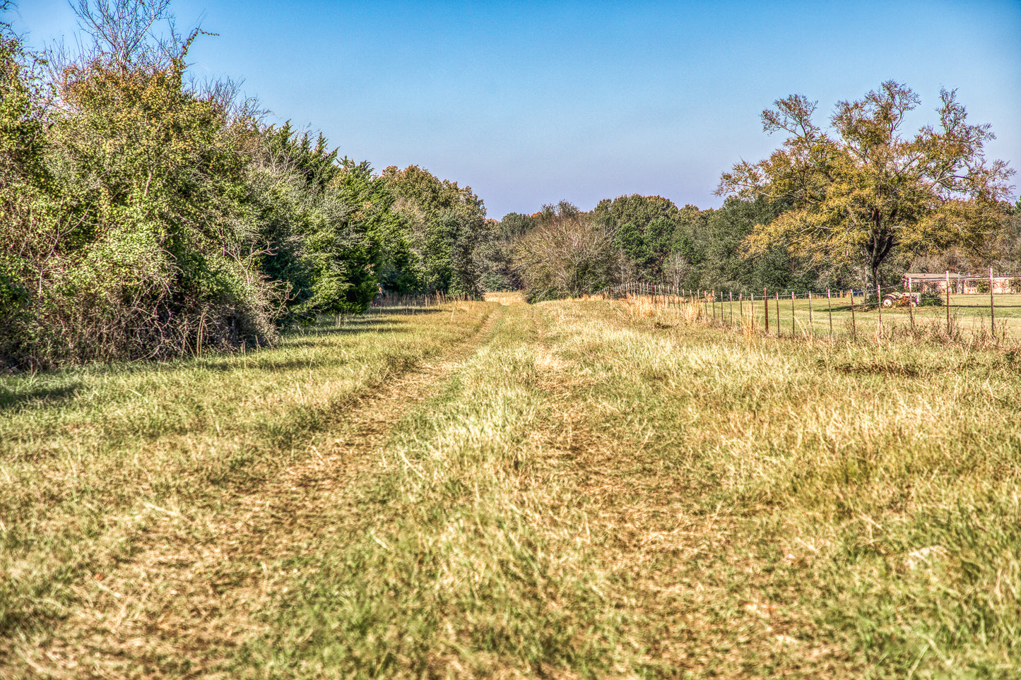 1967 FM 489 Oakwood, TX 75855