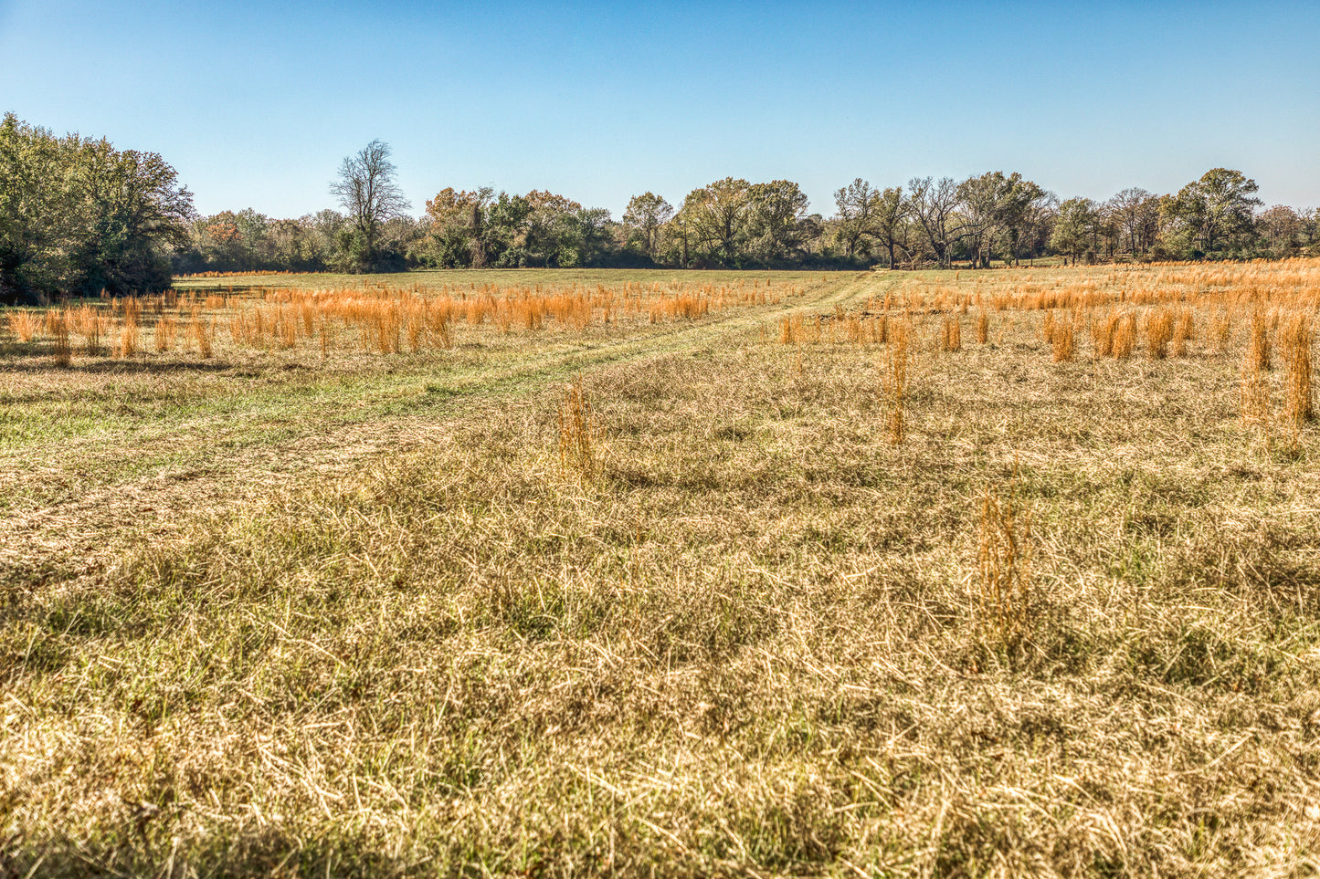 1967 FM 489 Oakwood, TX 75855