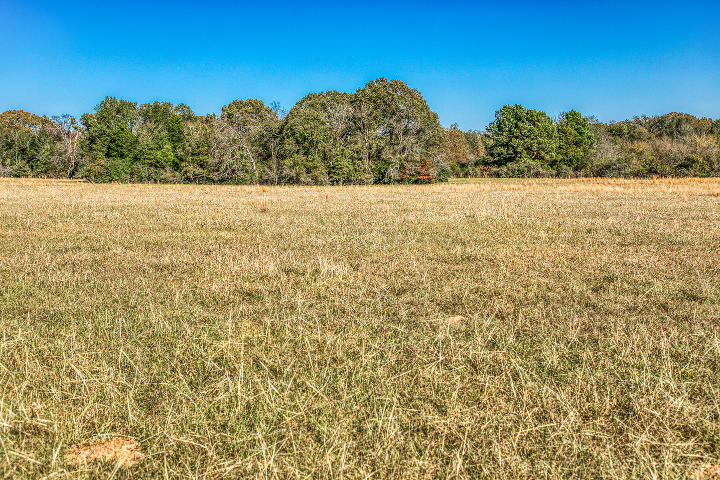 1967 FM 489 Oakwood, TX 75855