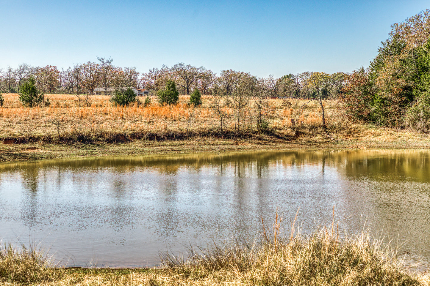 1967 FM 489 Oakwood, TX 75855