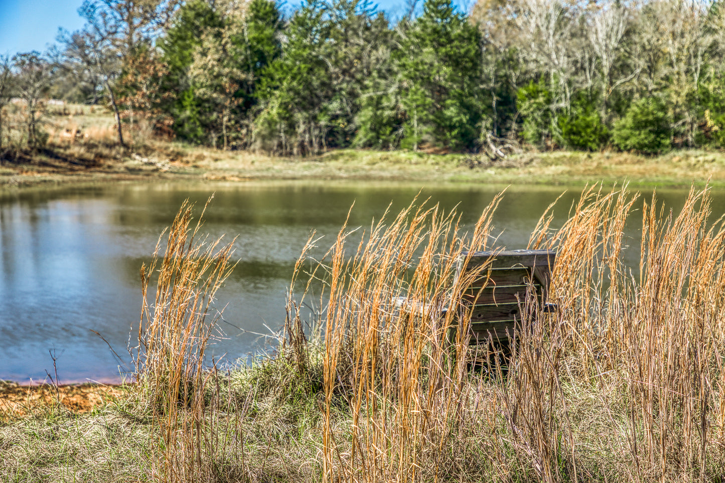 1967 FM 489 Oakwood, TX 75855