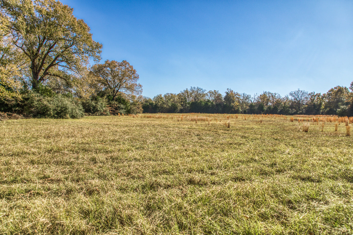 1967 FM 489 Oakwood, TX 75855