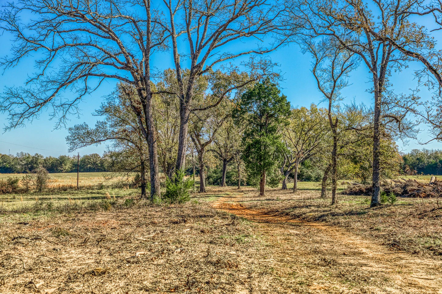 1967 FM 489 Oakwood, TX 75855