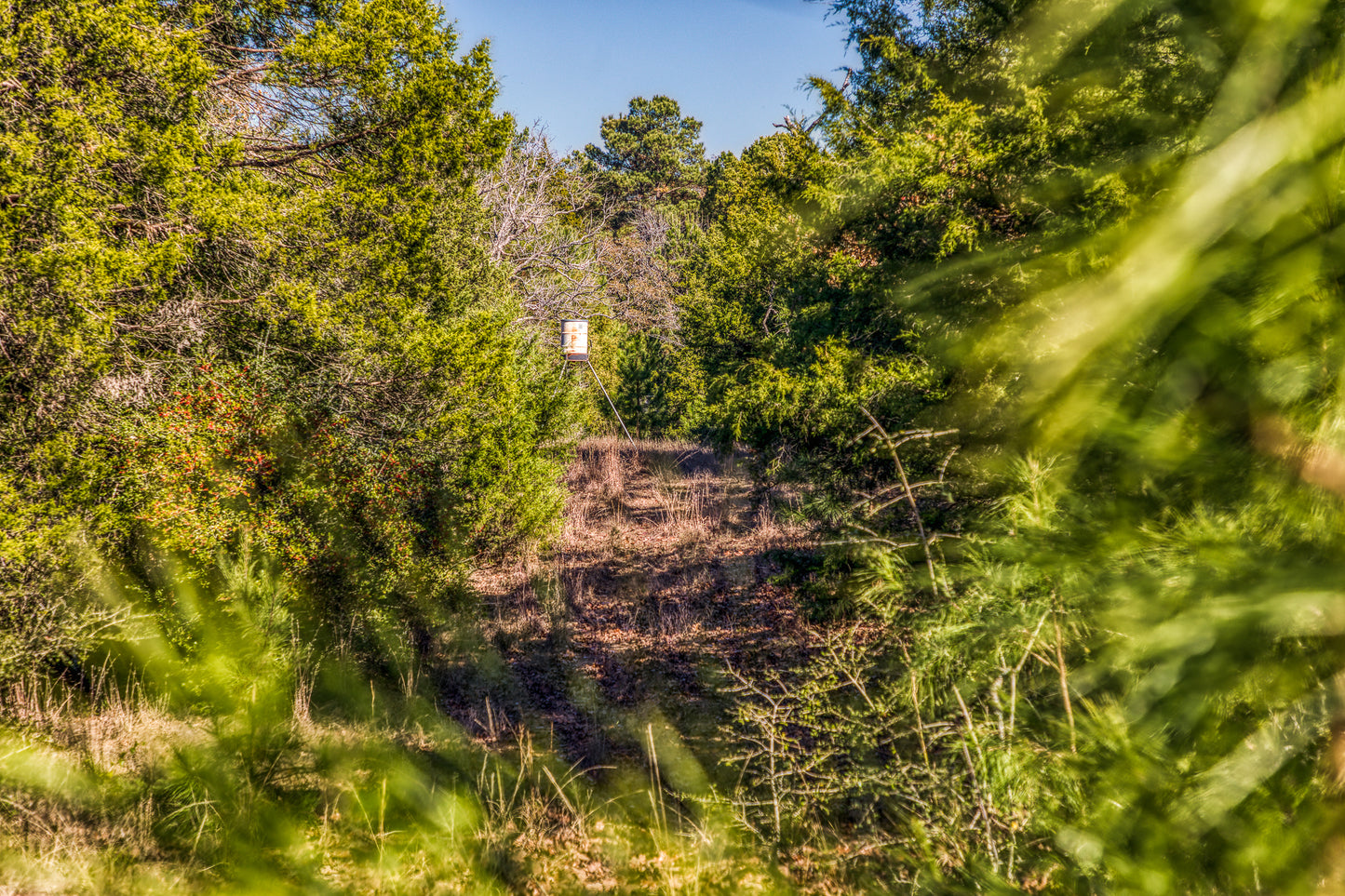 1967 FM 489 Oakwood, TX 75855