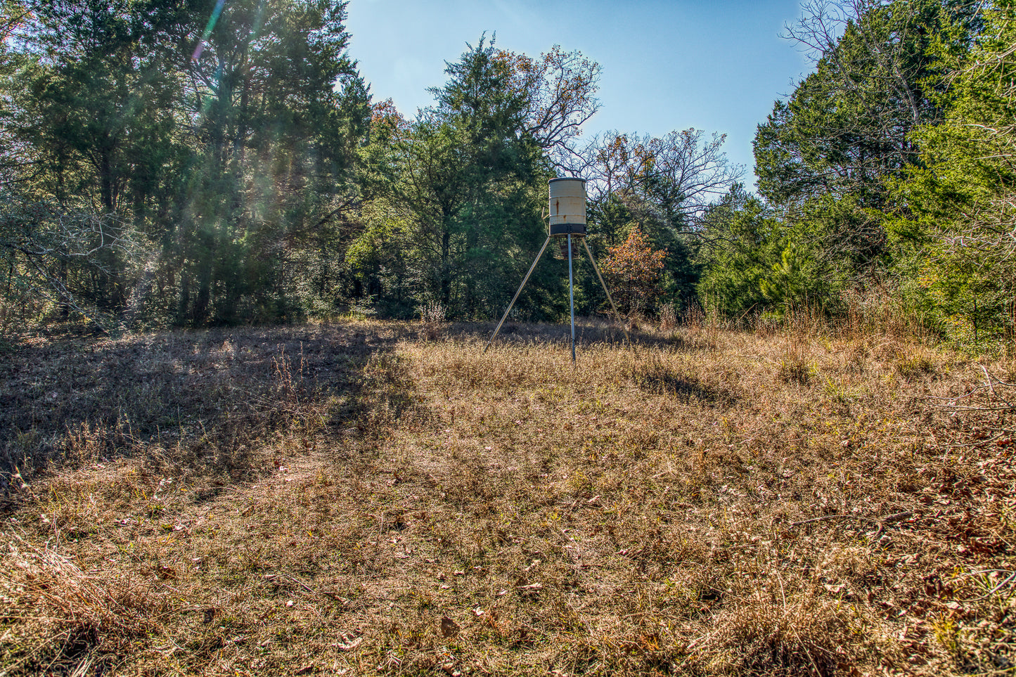 1967 FM 489 Oakwood, TX 75855