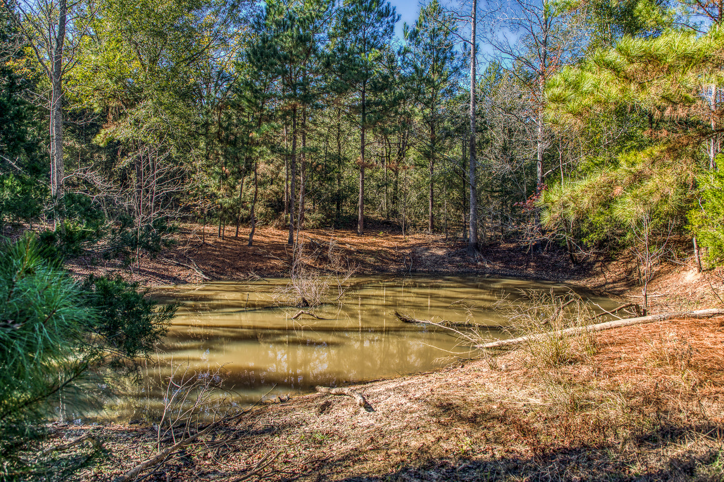 1967 FM 489 Oakwood, TX 75855