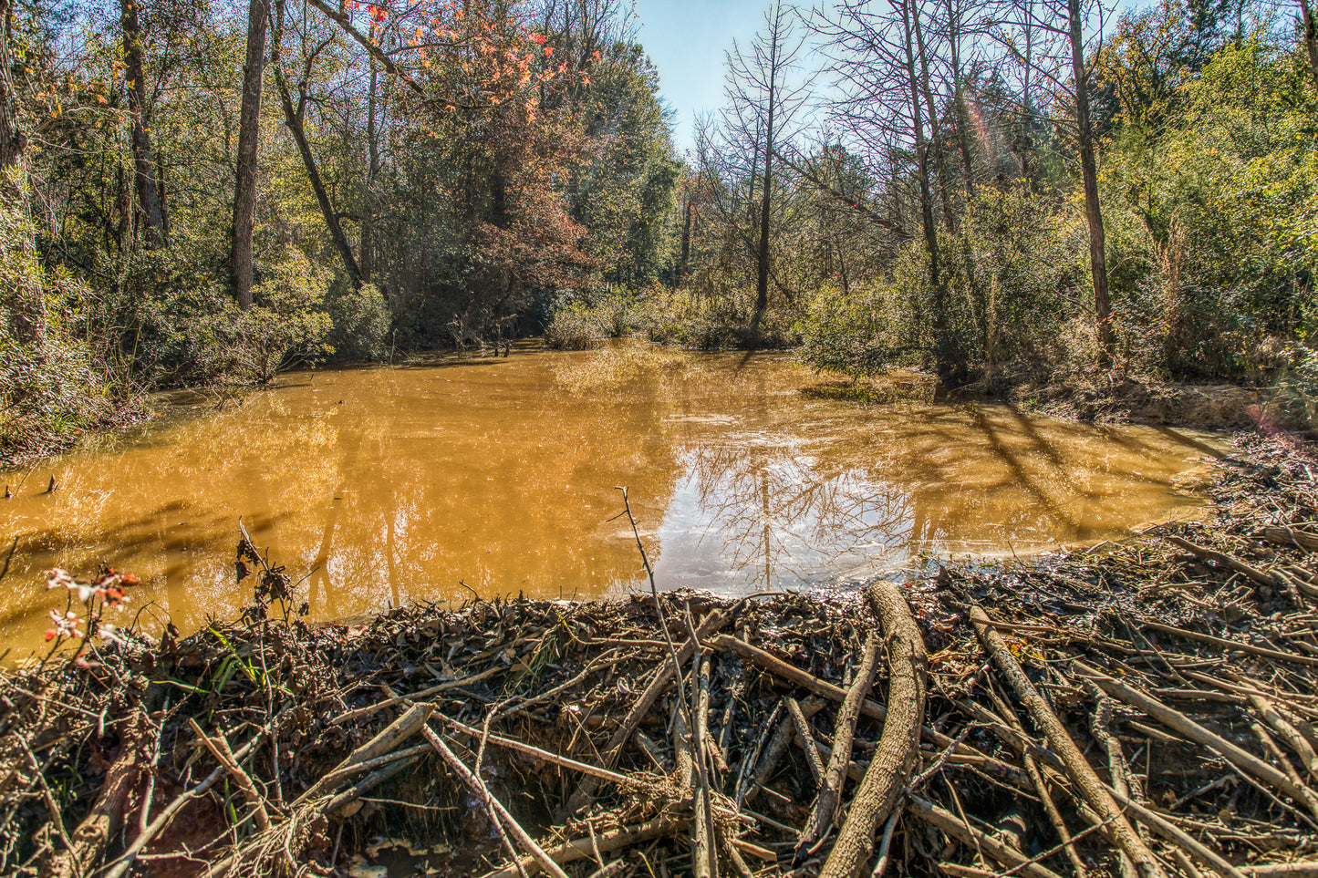 1967 FM 489 Oakwood, TX 75855