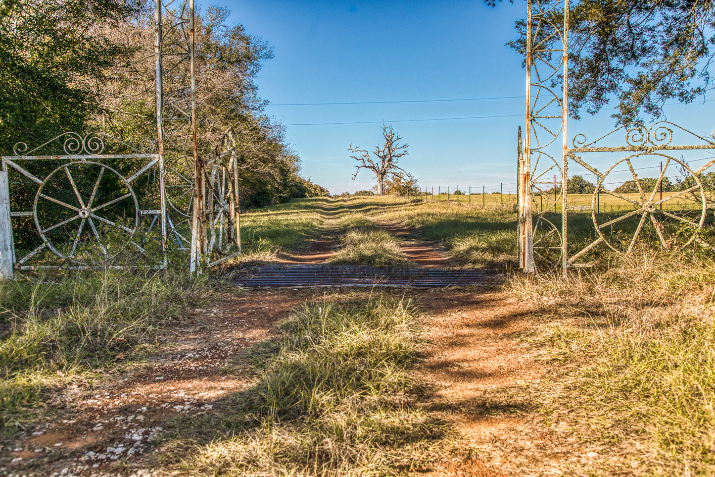 1967 FM 489 Oakwood, TX 75855