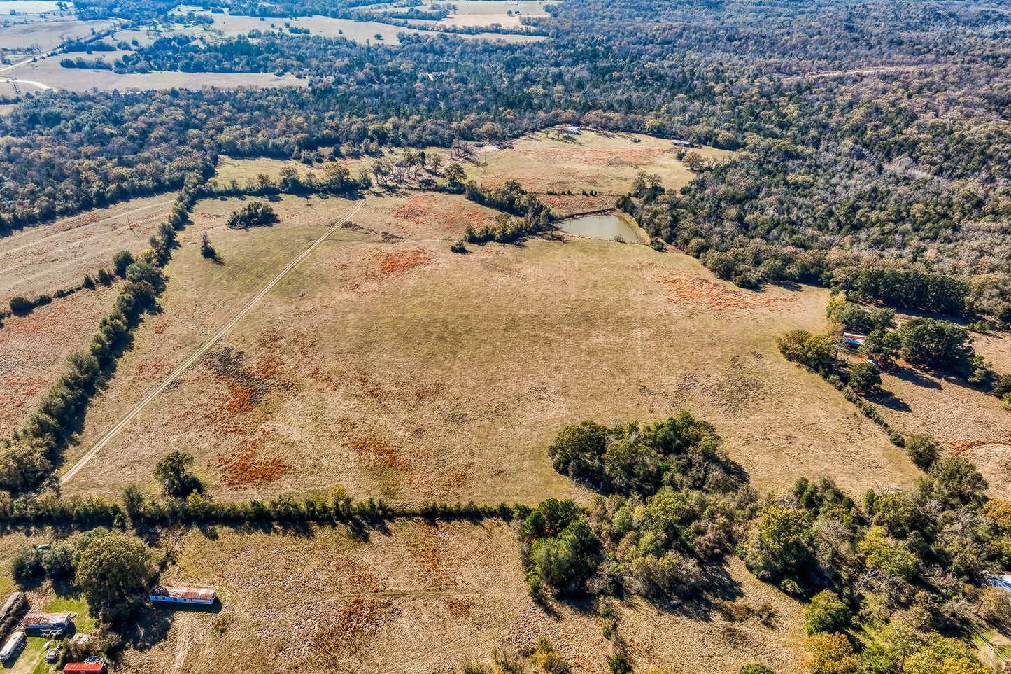 1967 FM 489 Oakwood, TX 75855