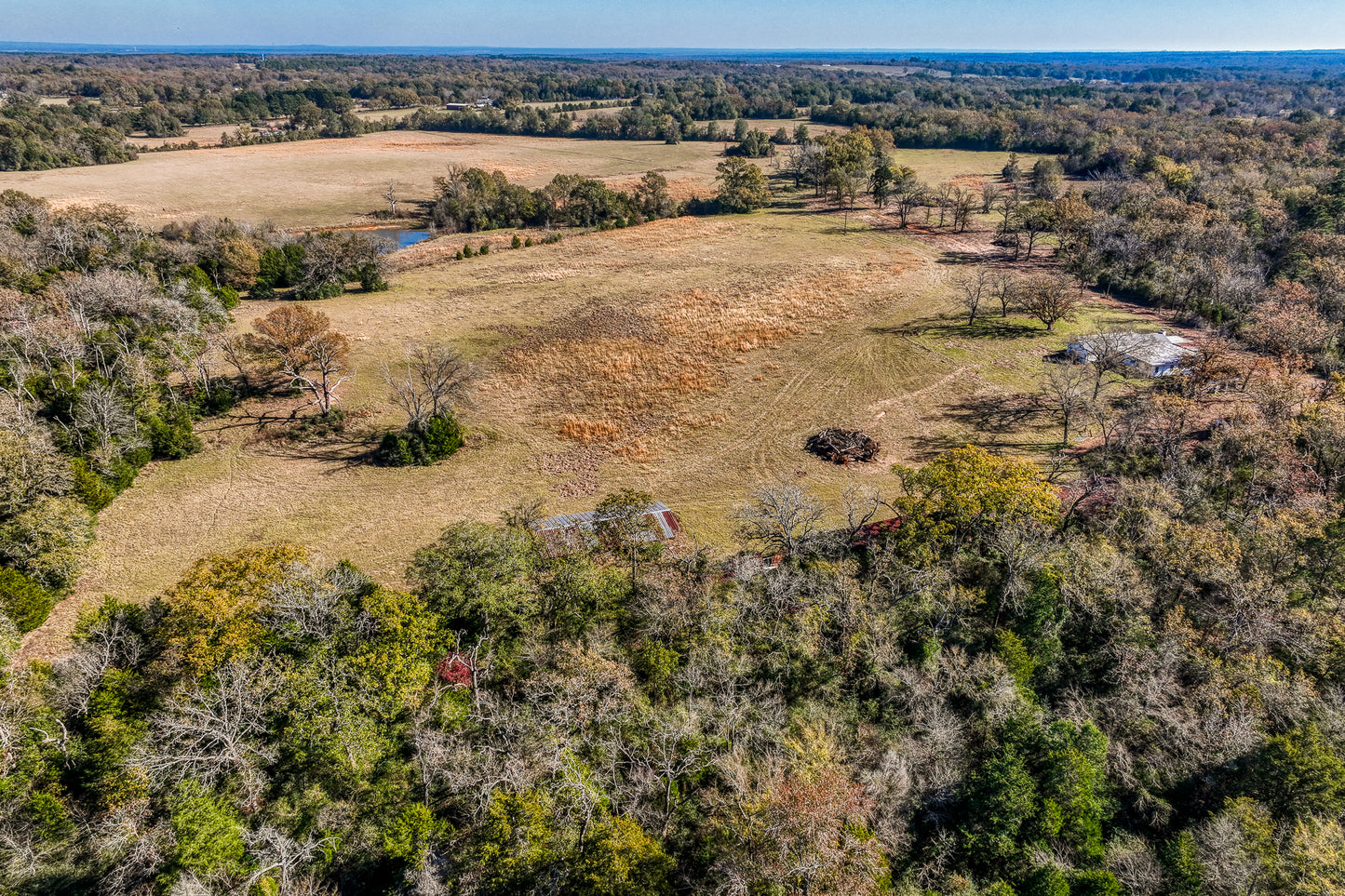 1967 FM 489 Oakwood, TX 75855