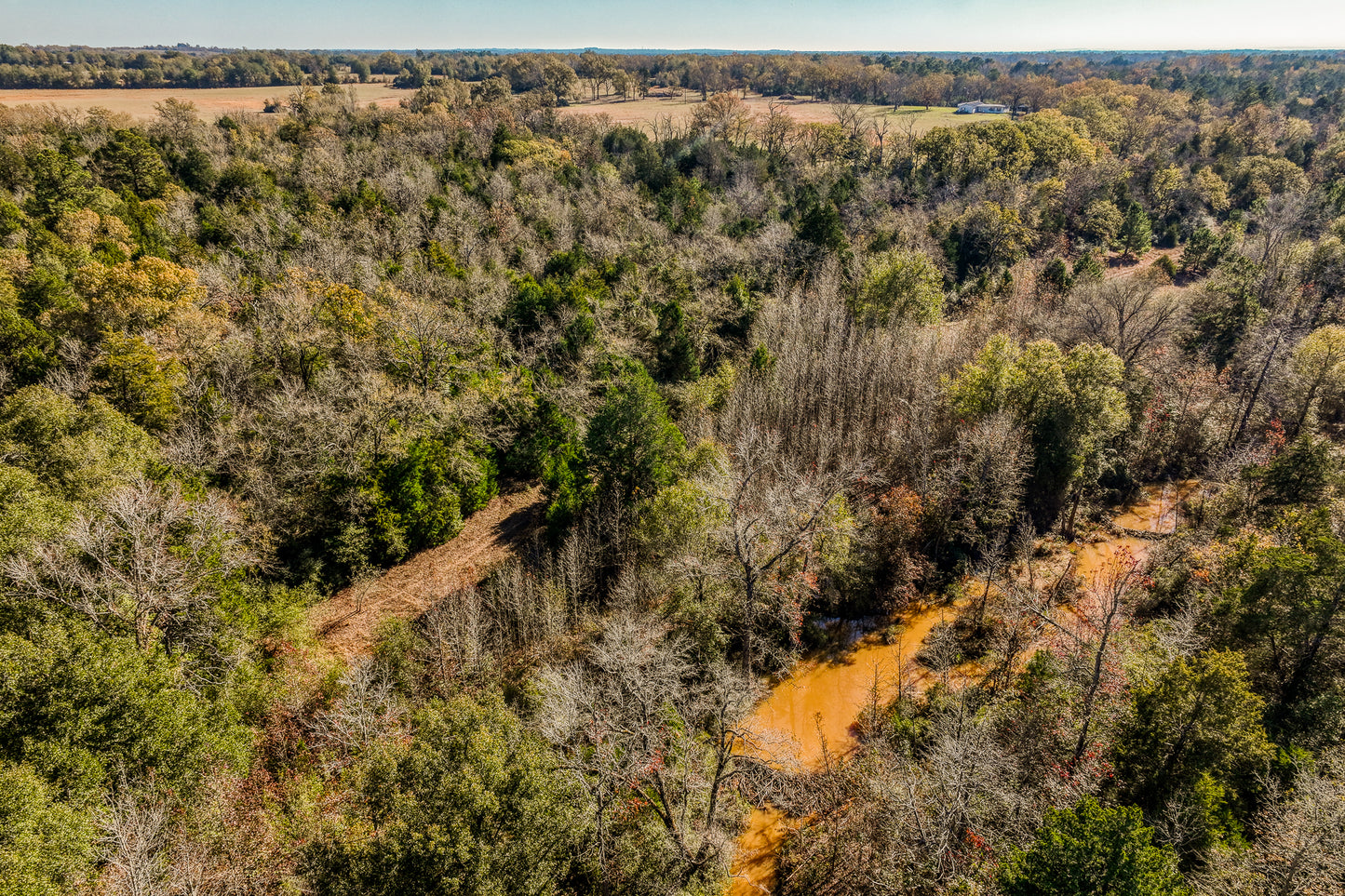 1967 FM 489 Oakwood, TX 75855