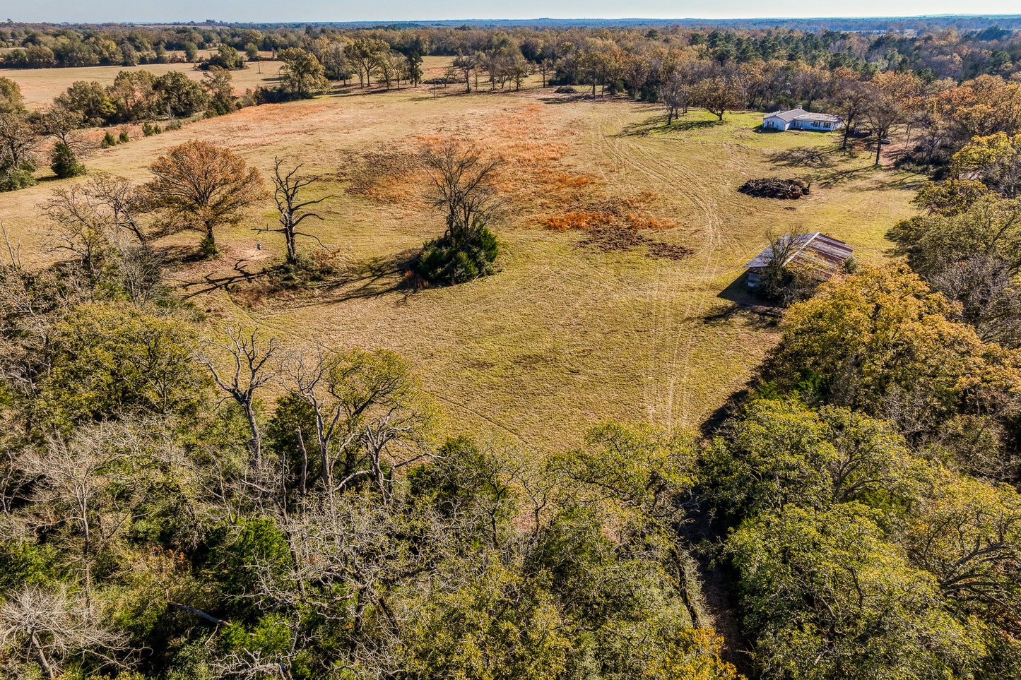 1967 FM 489 Oakwood, TX 75855