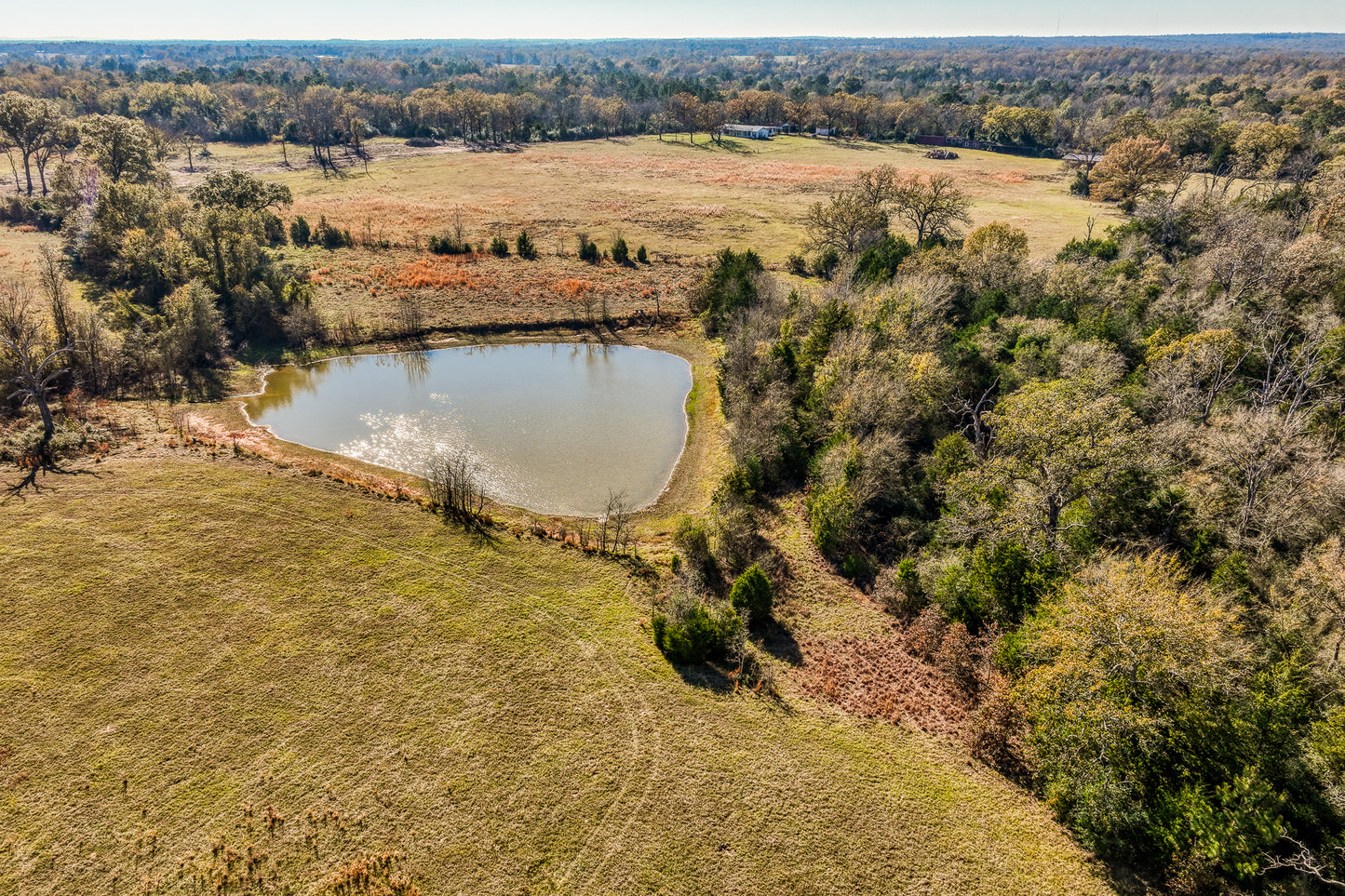 1967 FM 489 Oakwood, TX 75855