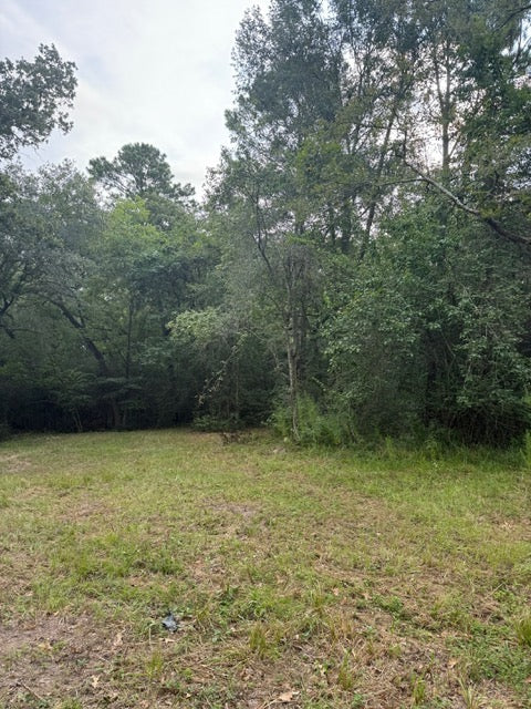 25571 Kimbro Rd