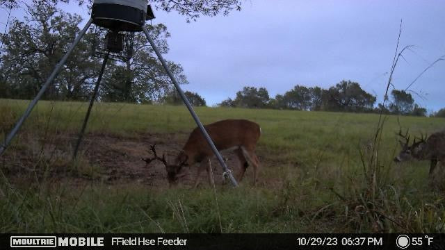 1967 FM 489 Oakwood, TX 75855