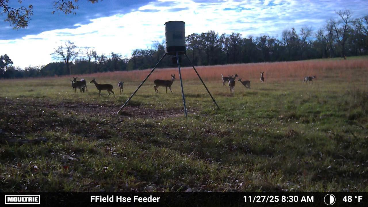 1967 FM 489 Oakwood, TX 75855