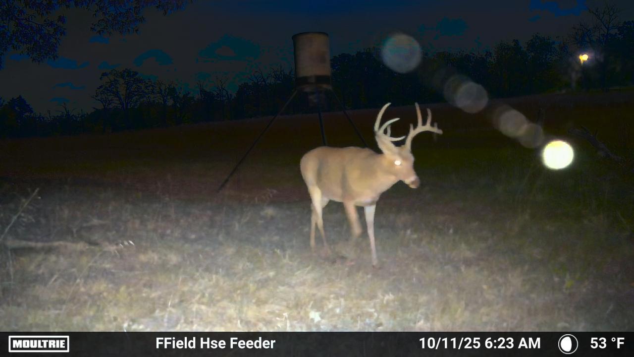 1967 FM 489 Oakwood, TX 75855